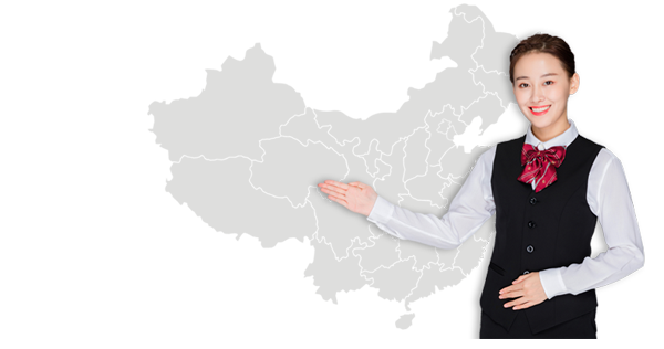 專業(yè)的設計團隊